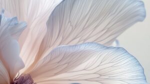 MALE SEXUAL WELLNESS_BANNER_16-9